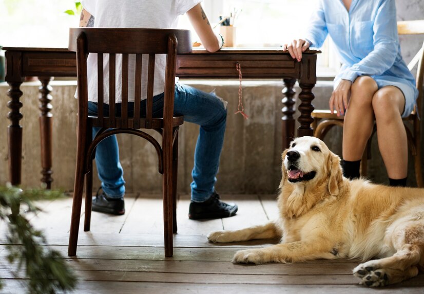 Pet-Friendly Rentals